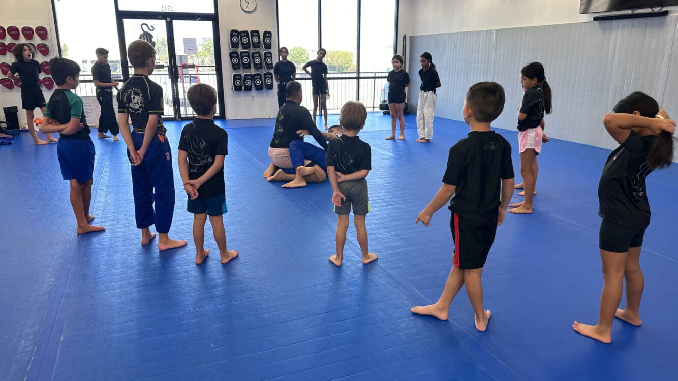 Panther City Martial Arts Homeschool BJJ Program!